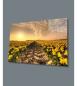 Preview: Sonnenblume Sonnenuntergang Art Design rechteckiges spezial Glasbild!